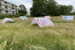 Het ongeziene gezien - Poëzie 